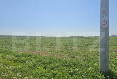 Teren intravilan 1089-1018 mp in zona Pielesti - 4