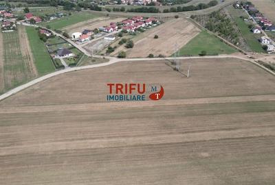 Teren intravilan cu apa si canalizare posibilitate de extindere - 5