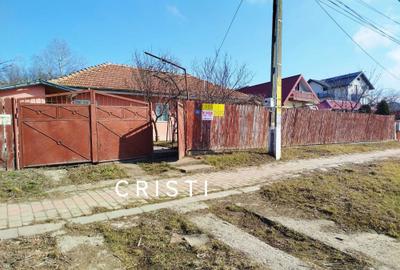 Casă cu 2 camere în Tomești