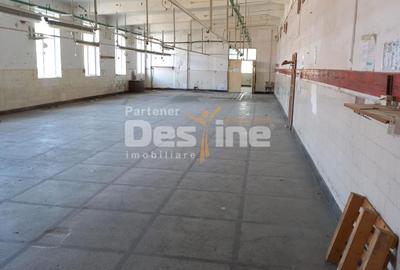 Spațiu industrial, de 19,000 mp, în Pucioasa - 4