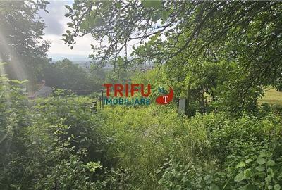 Teren intravilan construibil 766mp Cetate zona Schit - 2