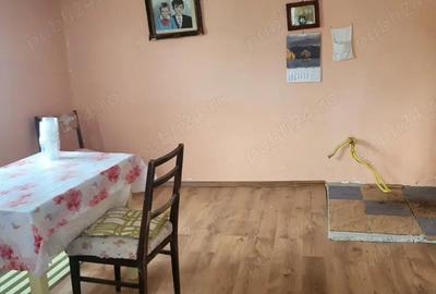 Vanzare casa Pucioasa -Bela - 1