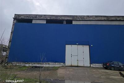 Spațiu industrial, de 17,500 mp, în Zona Liberă - 16