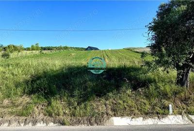 Vand teren intravilan in Sanisor cu suprafata de 4946 mp - 3