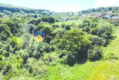 TEREN intravilan + casa  DOBRENI - SARATA - 4