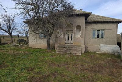 Casă cu 4 camere cu Teren 5000 Mp în Central - 1