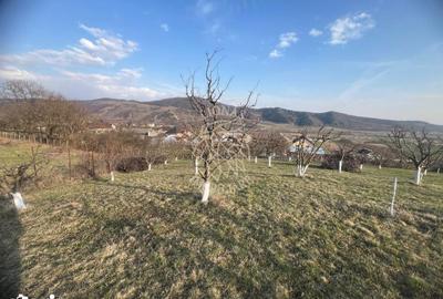 Teren de 3100 mp, în Nimigea - 2