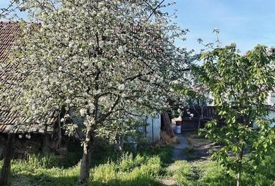 Casă cu 5 camere cu Teren 1100 Mp în Opatița - 1