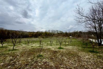 Spațiu comercial, în Bărbulețu - 6