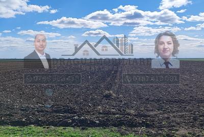 Teren extravilan 13.500 mp/ Valea Marului - 4