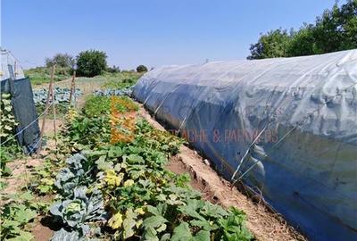 Casă individuală cu 4 camere cu Canalizare în 1 Decembrie - 18