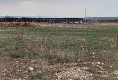 Spațiu comercial, în Dănești - 3