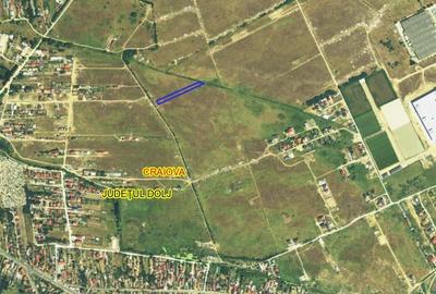 Teren Construcții extravilan de 2001 mp, în Cernele - 1