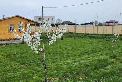 Teren langa Academia Titi Aur - 10