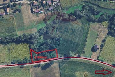 Teren 1,400mp Medias / Valea lunga - 2