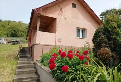 Vanzare casa individuala  in localitatea Suceagu, la 10 km de Cluj - 10
