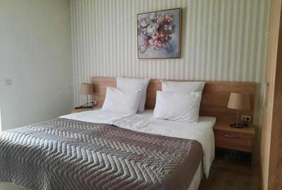 De inchiriat garsoniera in zona Gheorghe Lazar - 1