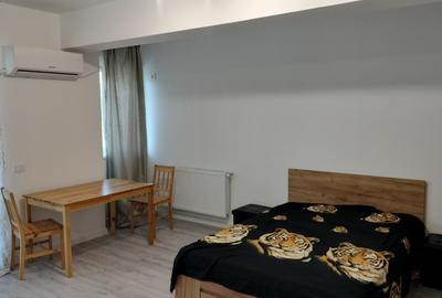 Garsonieră decomandată în Bucium - 2