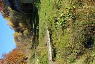 Casă cu Teren 140000 Mp în Preluca Nouă - 9