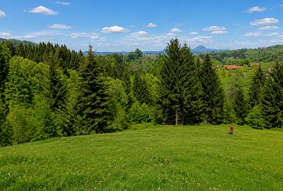 Teren Construcții intravilan de 18500 mp, în Bran - 3