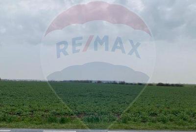 Teren de vanzare Ganeasa Ilfov | 500 m de DN | Reziden?... - 3