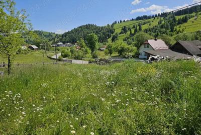 Casa de vanzare in Bucovina Zona Breaza de Sus Casa de vanzare in Bucovina Zona Breaza de Sus - 14