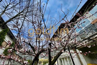 IANCU NICOLAE/ GRADINA SUPERBA/LOCURI DE PARCARE/SPATII GENEROASE - 43