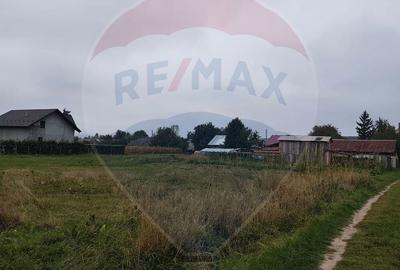 Teren de 5000 mp, în Adâncata - 4
