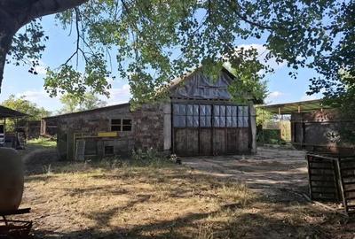 Ferma cu teren agricol de vanzare in Nadlac - 2