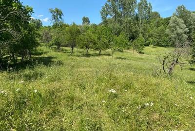 Teren de 2000 mp, în Stoenești - 3
