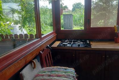 Casa tip cabana cu livada jud Alba - 2