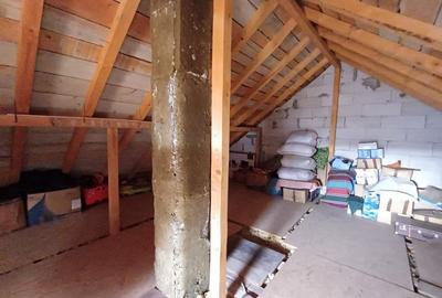 Casa 3 Camere, beci, magazie, mansarda - 500 mp Teren - 11