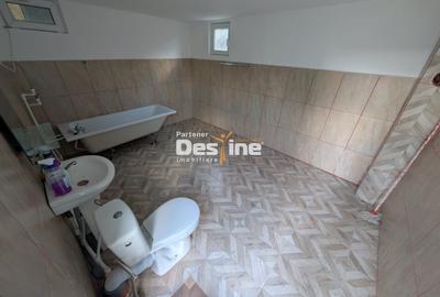 Ocazie - Casa individuala D+P+M 170 mp + 2400 mp teren cu IAZ la asfalt, Osoi - 14