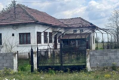 Casă cu 3 camere cu Teren 2504 Mp în Teasc - 3