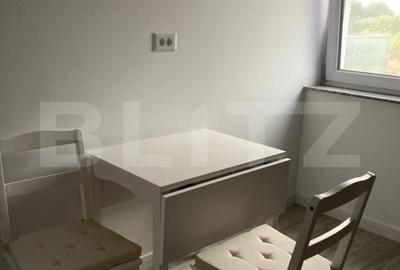 Garsonieră decomandată, mobilată în Cornitoiu - 10