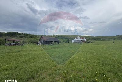 Casă cu 4 camere cu Teren 57600 Mp în Zimbor - 20