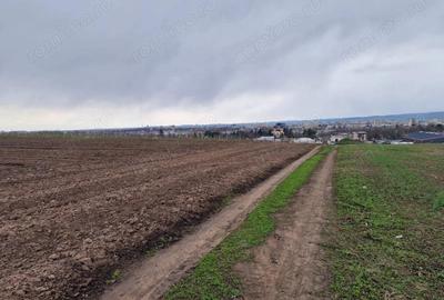 Teren de 10000 mp, în Vest - 1