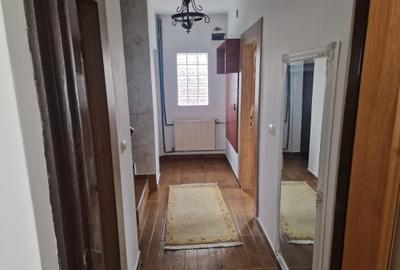 Vila P+E si teren intravilan 1,5Ha,cu zavoi+iaz,lac peste si livada-investitie - 17