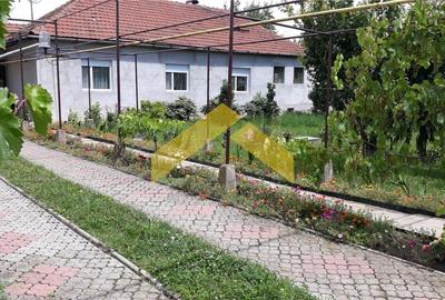 Casa de vanzare zona Gradiste - 9