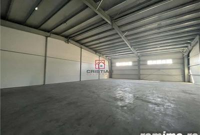 Inchiriere depozit hala spatiu industrial Pantelimon - Centura - 10