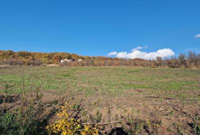 Spațiu comercial, în Central - 3