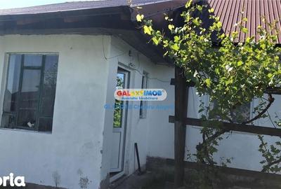 Casă cu 4 camere cu Teren 2000 Mp în Cocu - 10