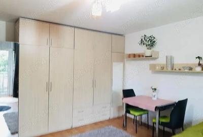 Garsonieră decomandată în Bucovina - 2