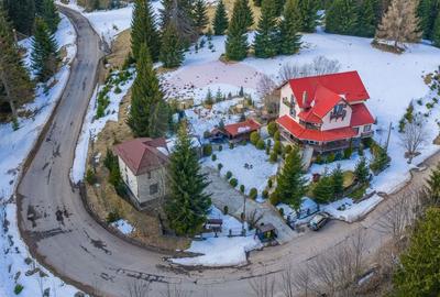 Hotel/Pensiune, de 404 mp, în Vlădeț - Trei Brazi