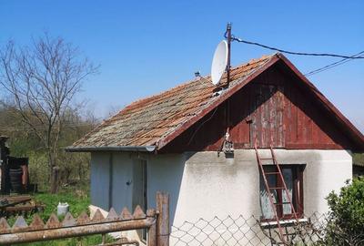 Casă cu 2 camere în Pini - 1