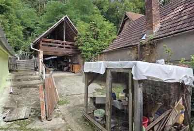 Casa de vanzare, zona Alexandru cel Bun, Sighisoara - 9
