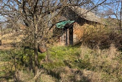 Teren de 6707 mp, în Cetariu - 2