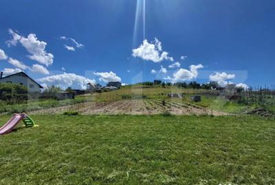 Teren de 1400 mp, în Centura - 4