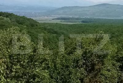 Casă cu 2 camere cu Teren 1700 Mp în Seciu - 1