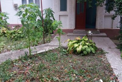 Casă cu 4 camere în Sânmihaiu de Câmpie - 6